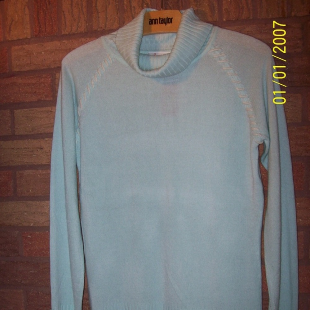 Baby Blue Fitted Turtleneck